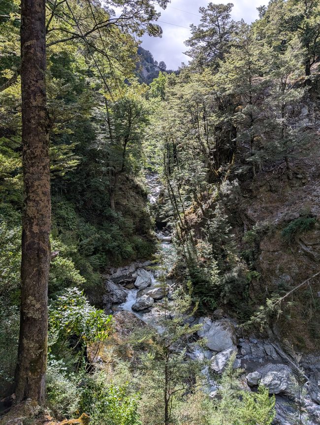 Zippe die zap und Arrowtown