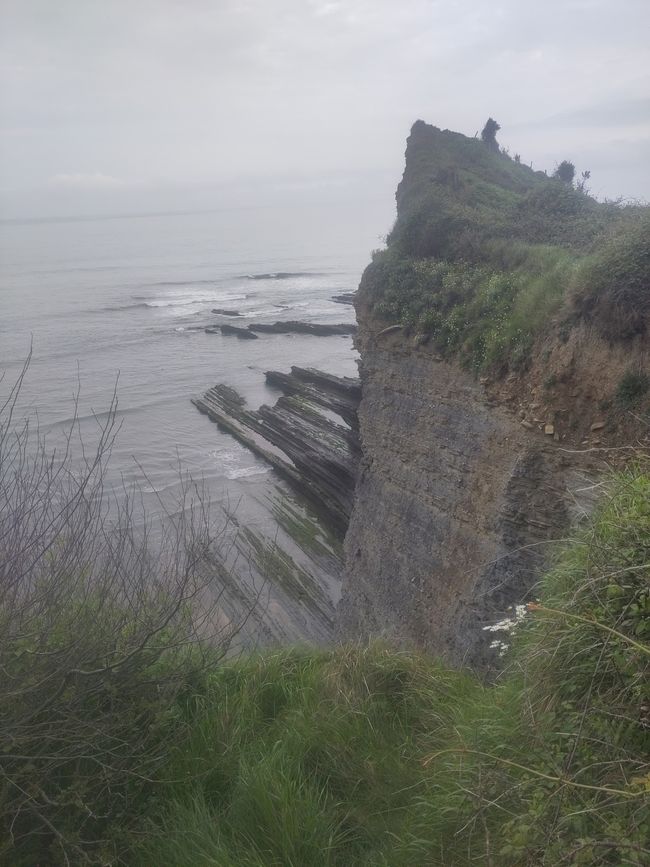 Flysch - Erdgeschichte liegt offen