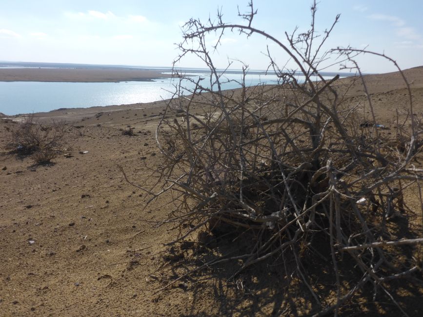 Der Grenzfluss zu Turkmenistan,  Amudaryo 