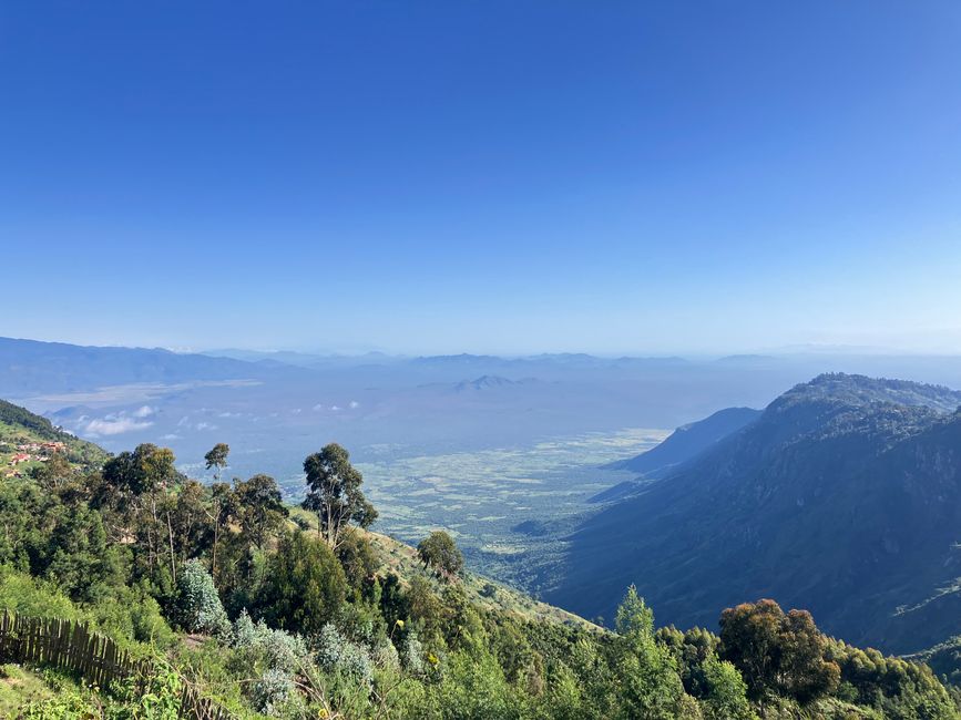 En las Montañas Usambara