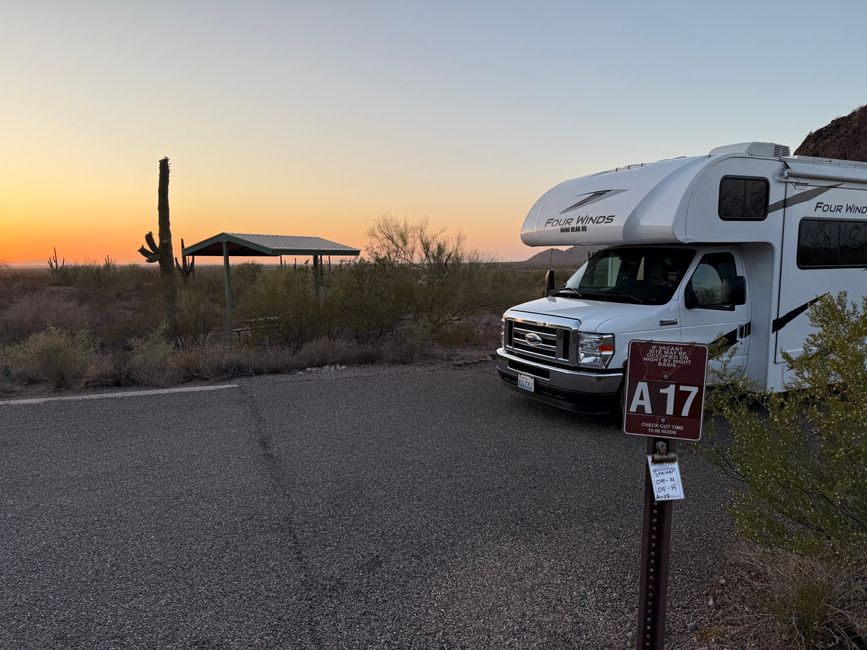 En el Museo del Desierto Arizona-Sonora