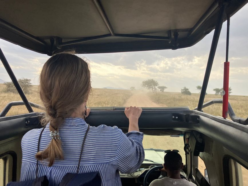 En la Serengeti - Día 2