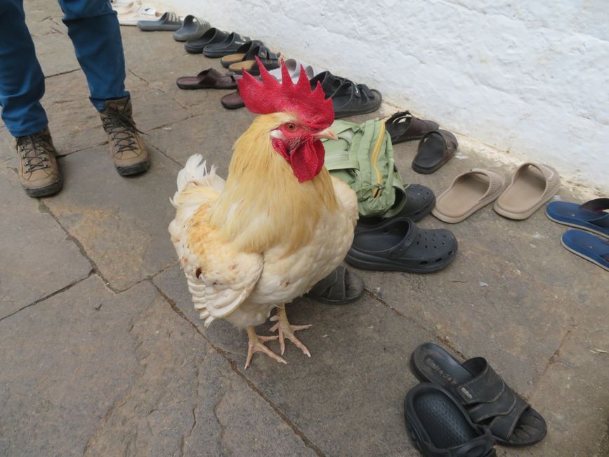 Passersby