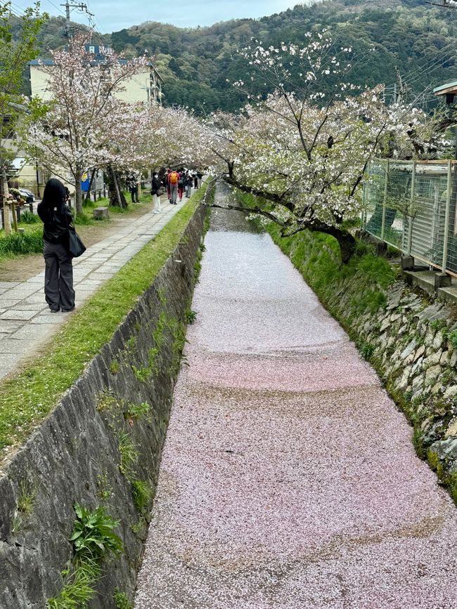 Part 8 Japan 🇯🇵 Kanazawa