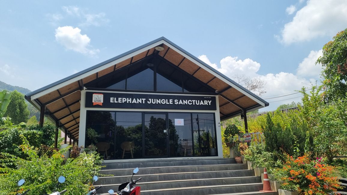 Visite d'une station de sauvetage pour éléphants