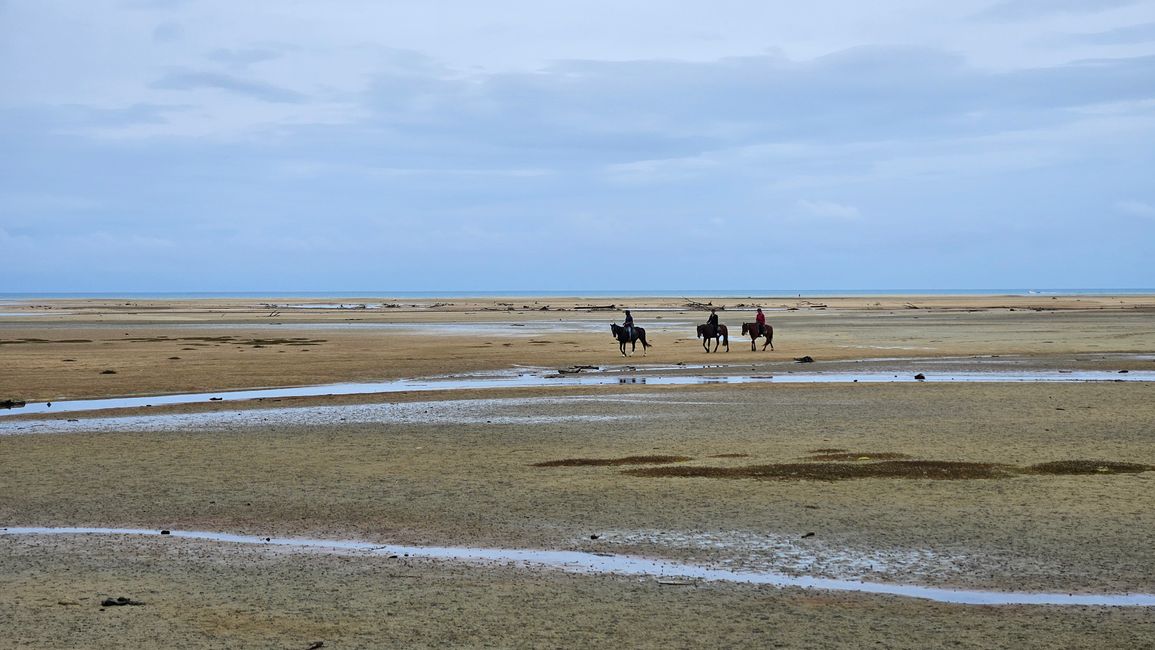 Abel Tasman Coastal Track