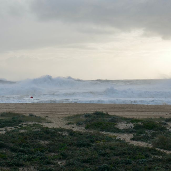 Big Waves in Nazaré