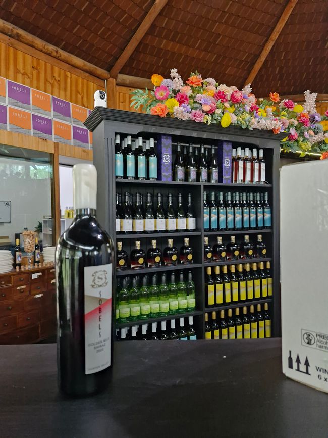 Erstes Weingut - GUT!