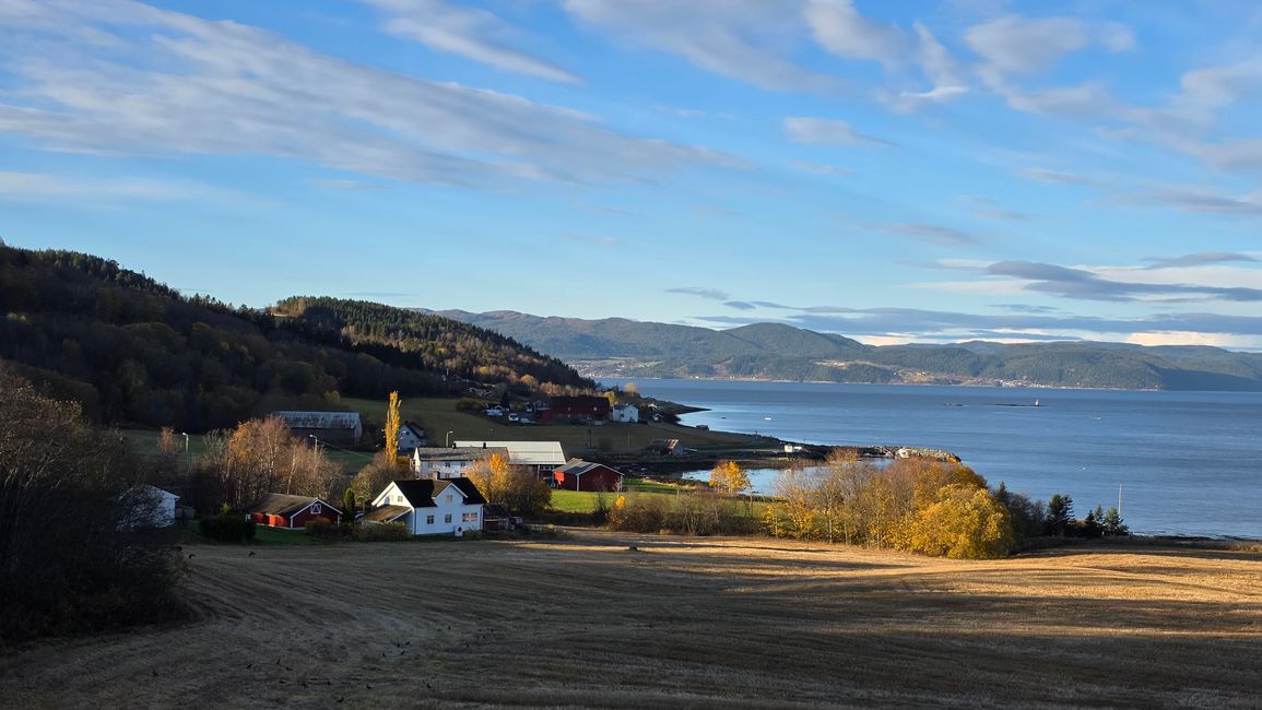 Trondheim 23-30.Oktober 2025/29.Oktober