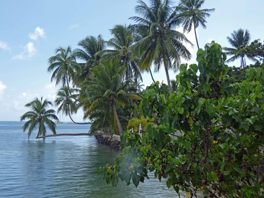 Mo orea
