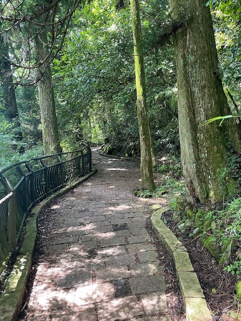 Hakone Super delizioso