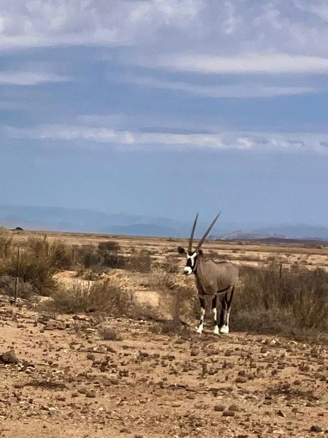 Namibia - il sud secco