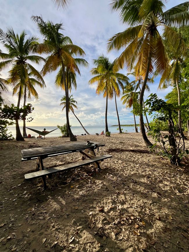 Les Salines