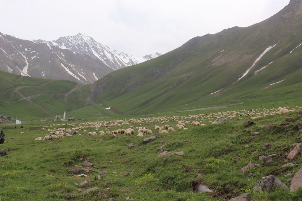 Sheep graze high above, mounted shepherds watch