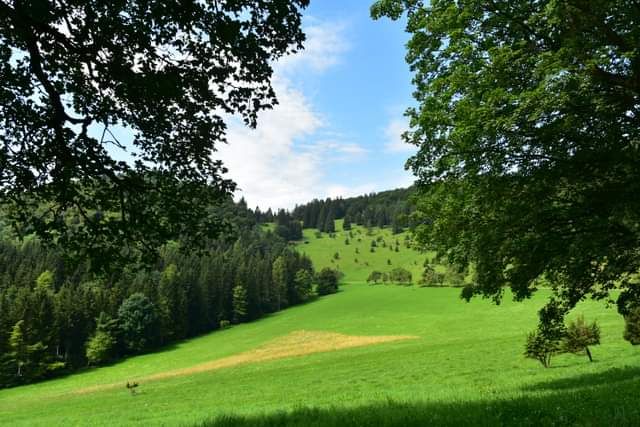 * * * Wacholderhain und Felsgesicht: eine Wanderung in der wilden Schönheit des Lochenpasses * * *