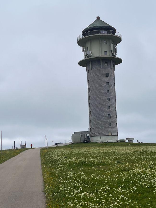 26 Feldbergsteig Escursione Pro Wolermoos