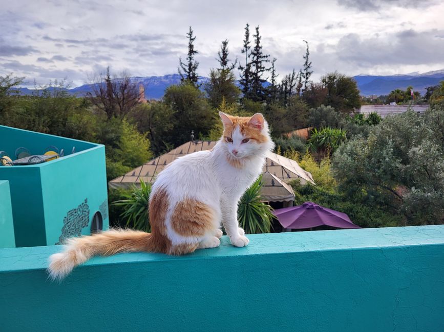 Auf der Dachterrasse 
