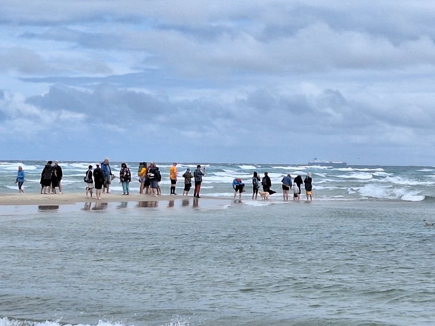 Skagen and Grenen