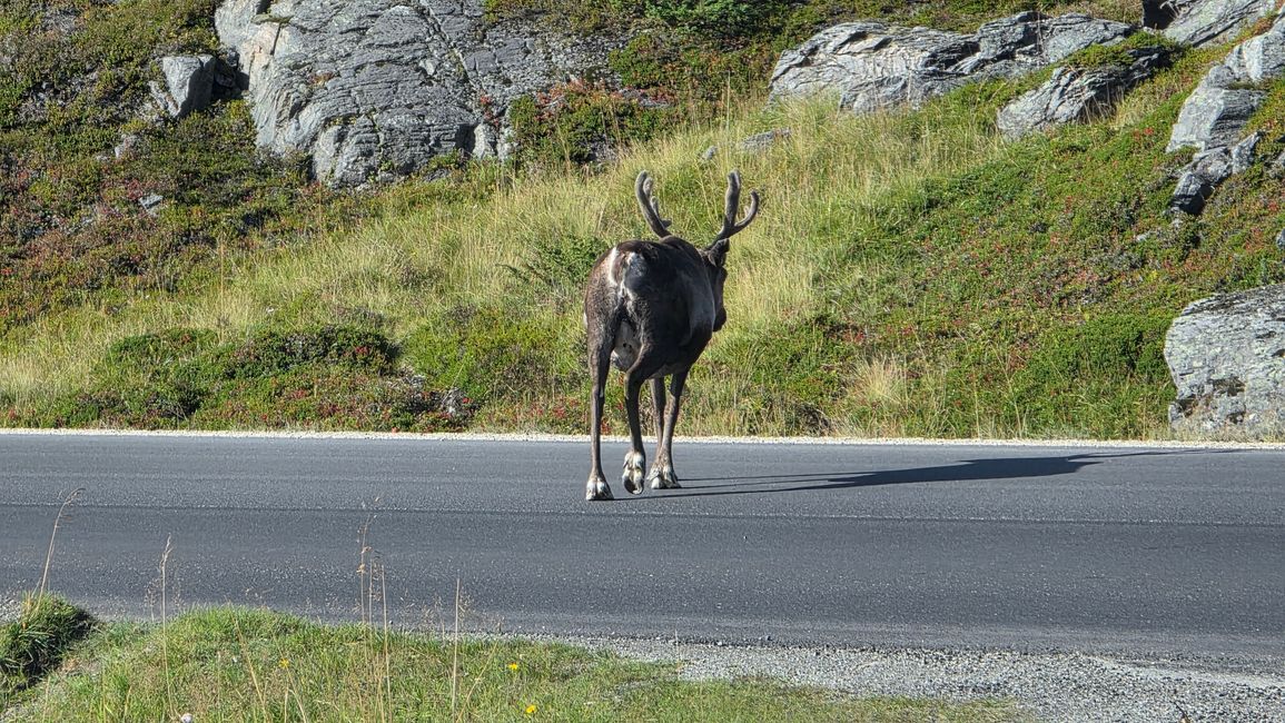 Norwegen-Nordkapp 1-17.September 2025
4.September
