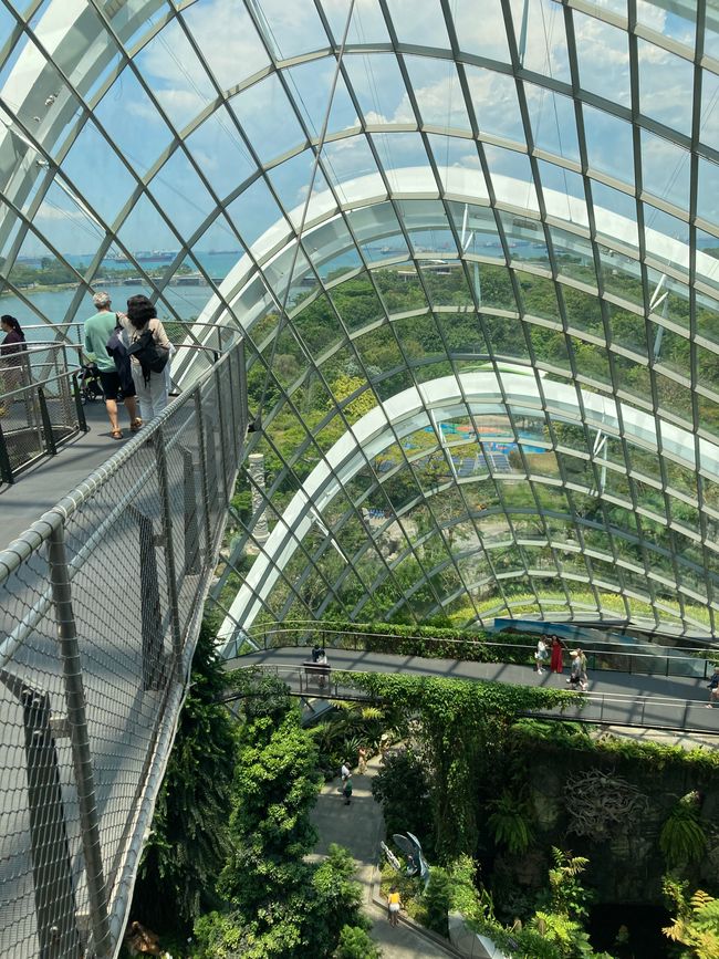 Singapur - Marina Bay Sands - Gardens by the Bay