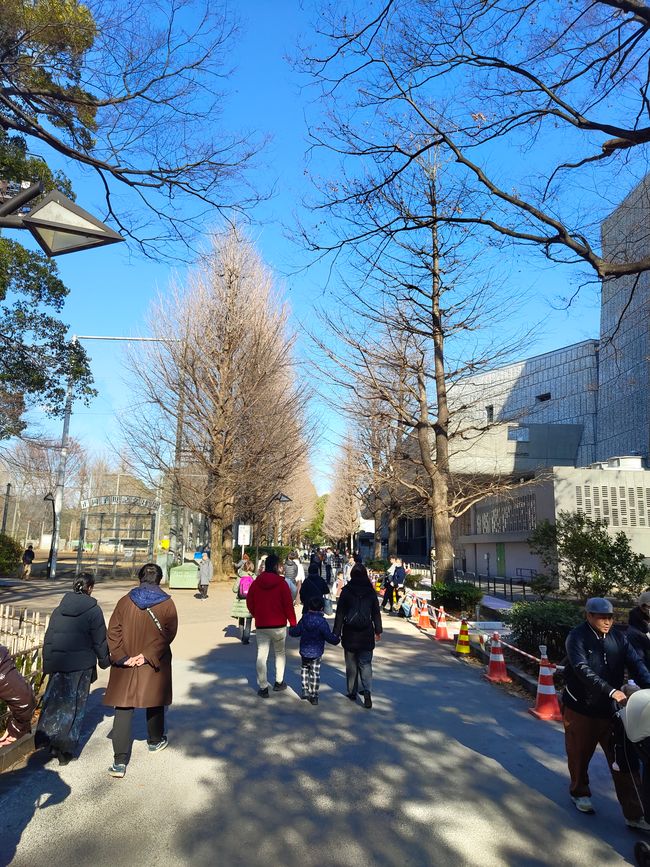 Des gens, des gens et encore plus de gens – La vie quotidienne à Tokyo