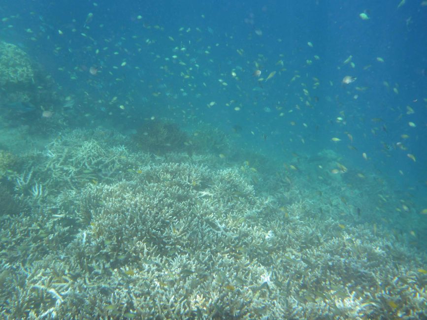 Misool, Westneuguinea, Indonesien, Insel-Ausflug