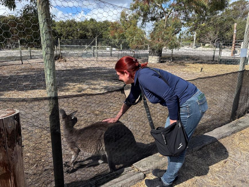 Parc des oiseaux et des animaux d'Esperance