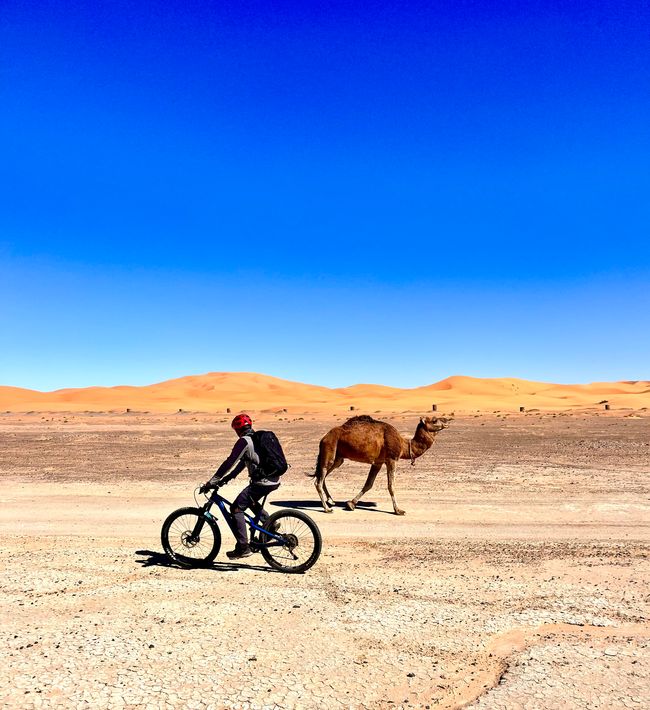 Bike tour through the Sahara - where do we go to Timbuktu?