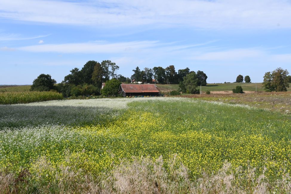 Viaggio in Masuria ad agosto 2024