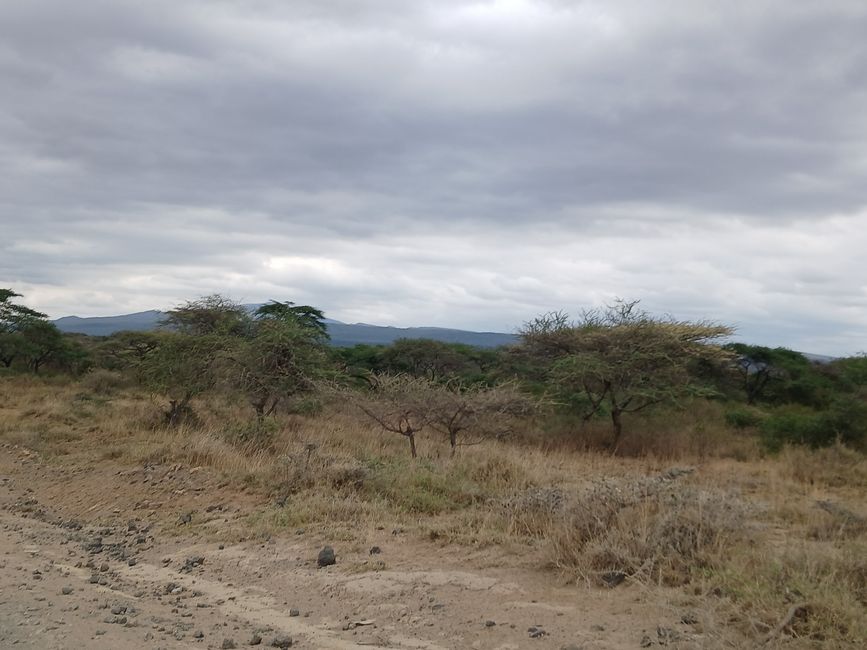 En la tierra de los Maasai