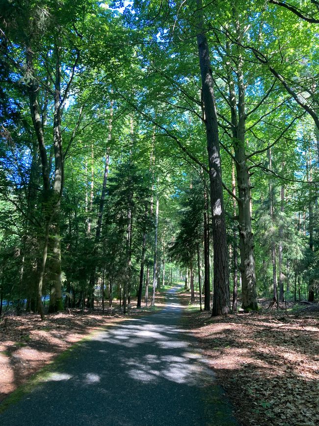 Himmelpfort-Fürstensee-Neustrelitz y un encuentro con dos hombres