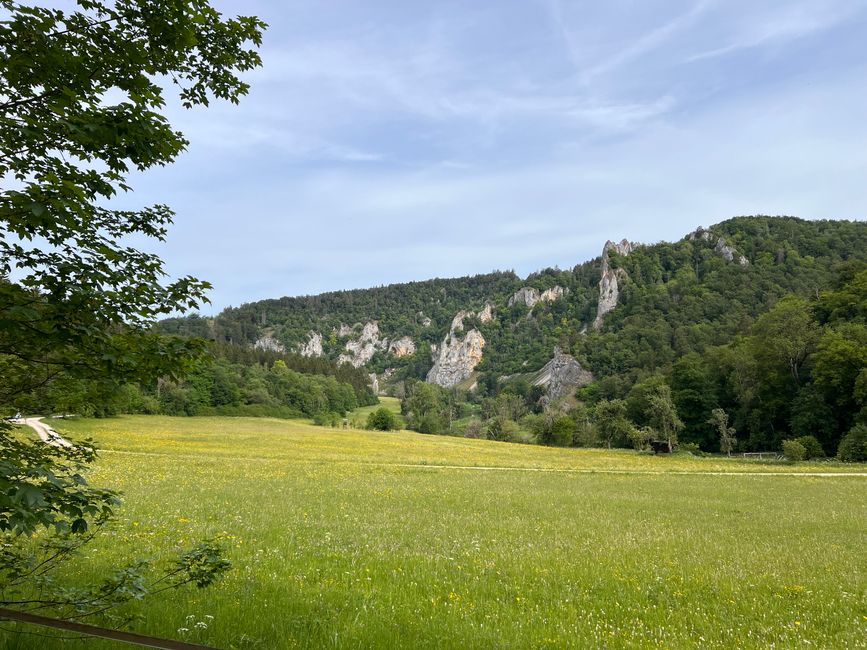 24 nach Donaueschingen