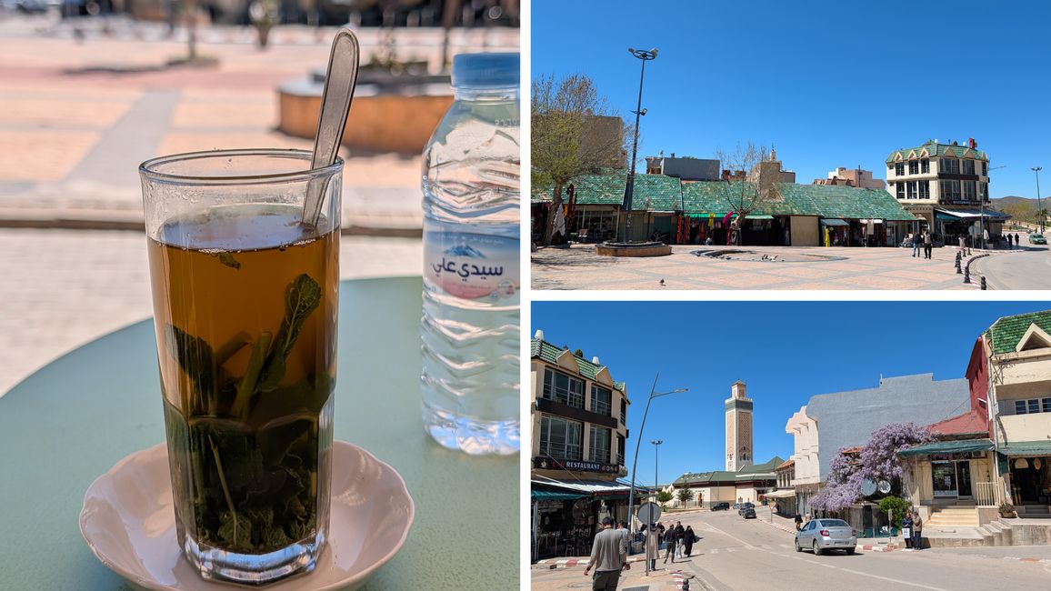 Mono berberisco en nuestro auto en el NP de Ifrane