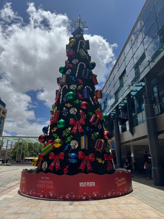 Christmas tree in the square in Perth city centre 