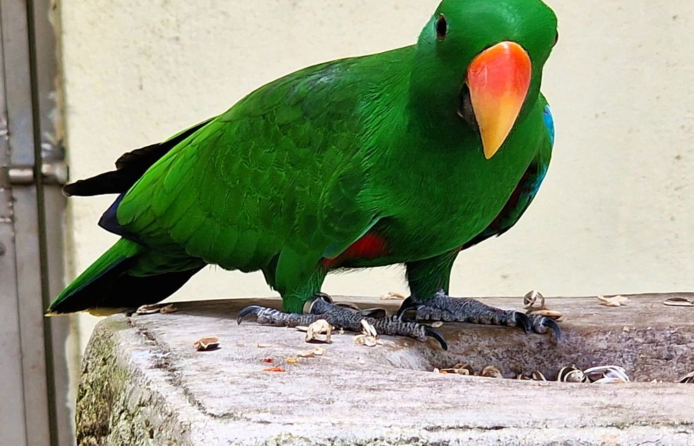 Bird Park