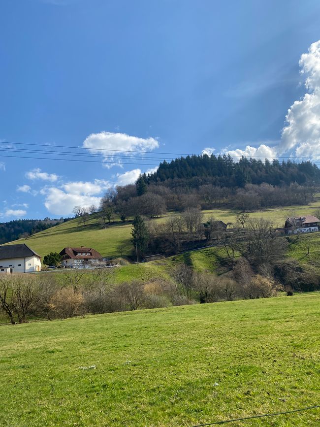 Auf zum Belchen