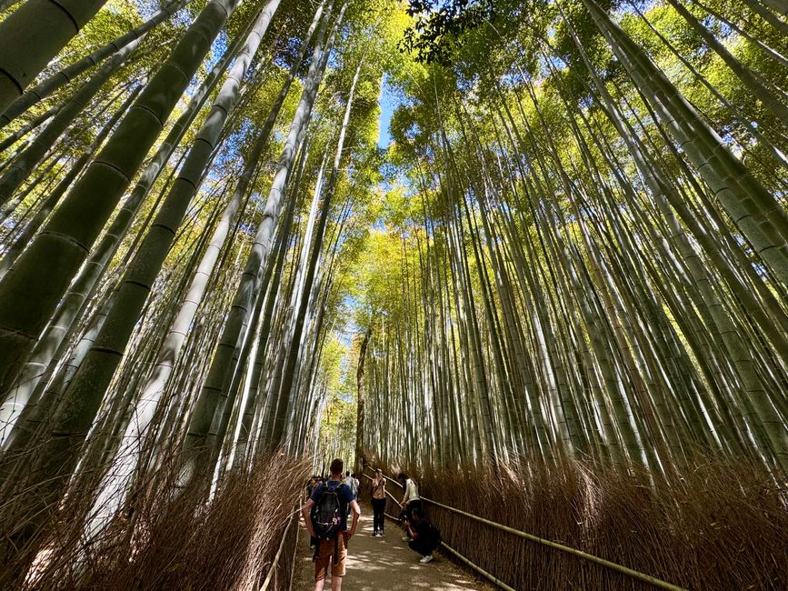 Part 8 Japan 🇯🇵 Kanazawa