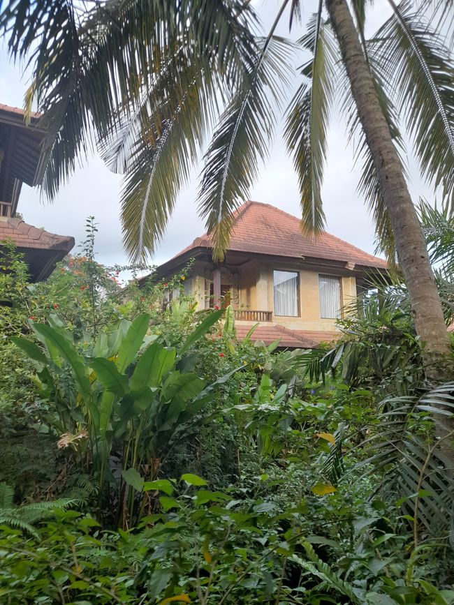Day 11: Ubud and the Southern Tip of Bali