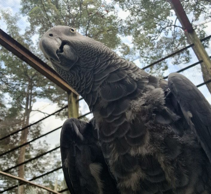 Bird Park
