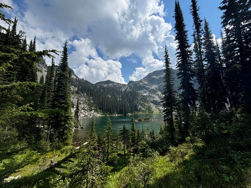 Tag 8 - Mount Revelstoke Nationalpark