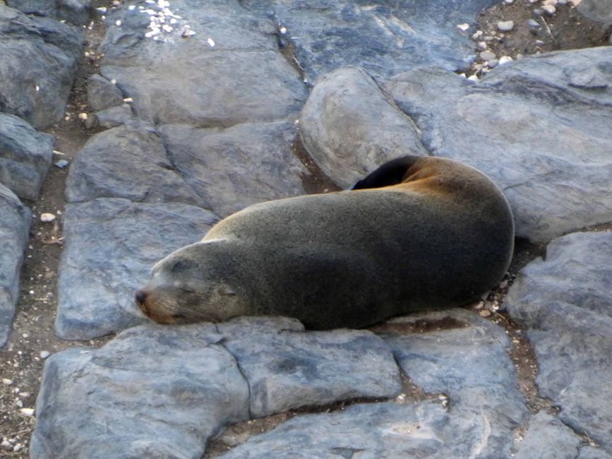 Kangaroo Island