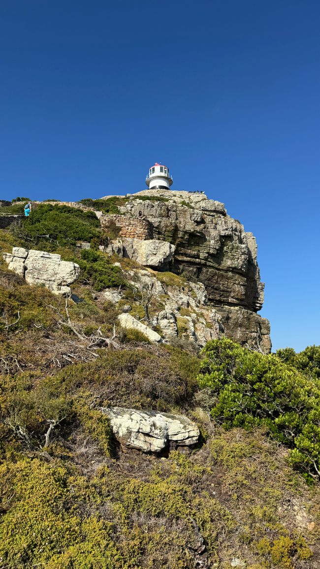 Tour del porto a Città del Capo, Spiaggia di Muizenberg, Spiaggia di Boulders, Capo di Buona Speranza
