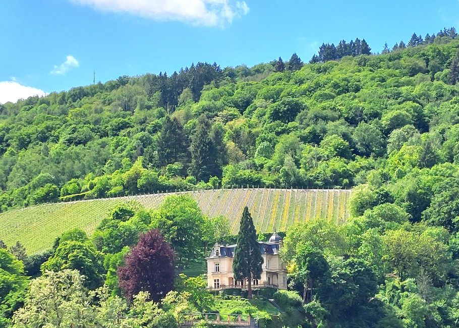 Tour Mosel Maggio 2025