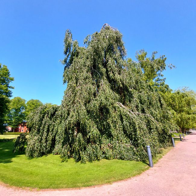 Tour della Svezia Meridionale - Giorno 10