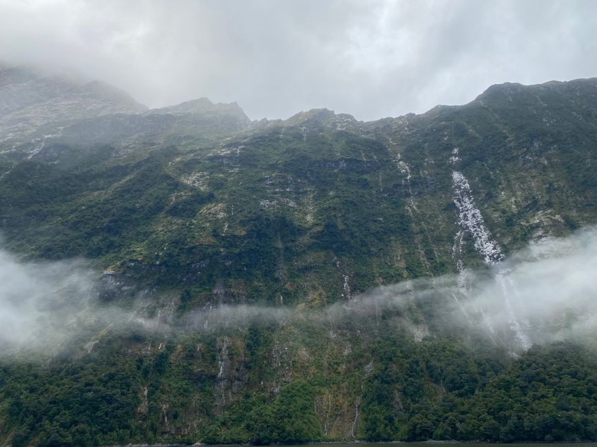 Road trip to Milford Sound