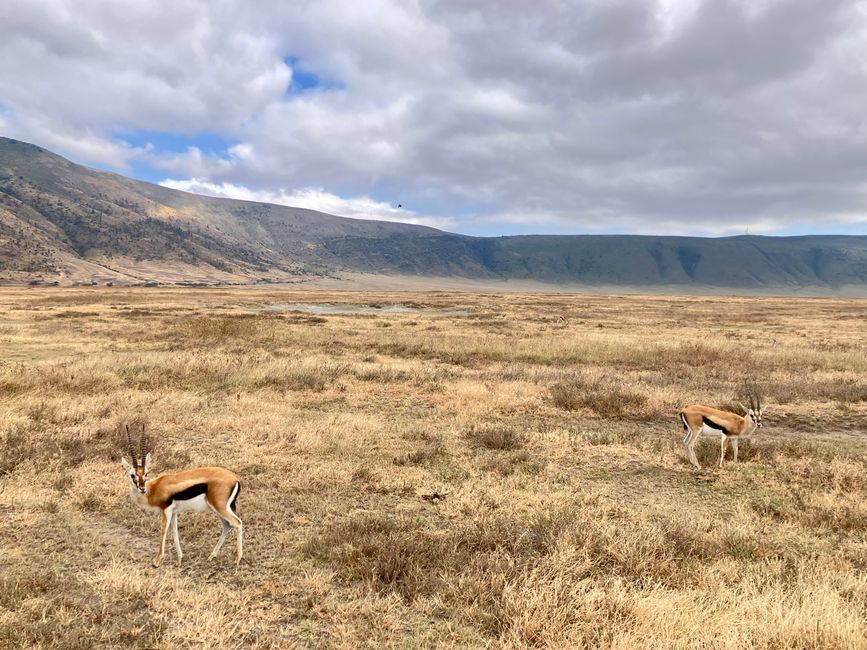 Il Cratere di Ngorongoro