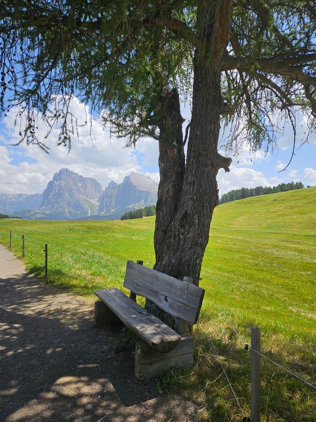 Panorama-Route Seiser Alm 