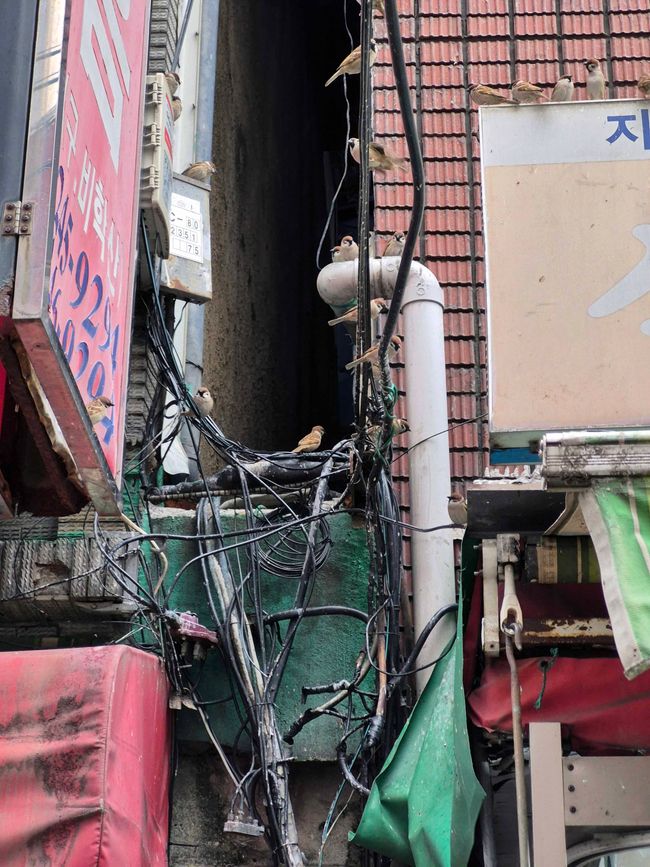 Busan, 6 de abril de 2026