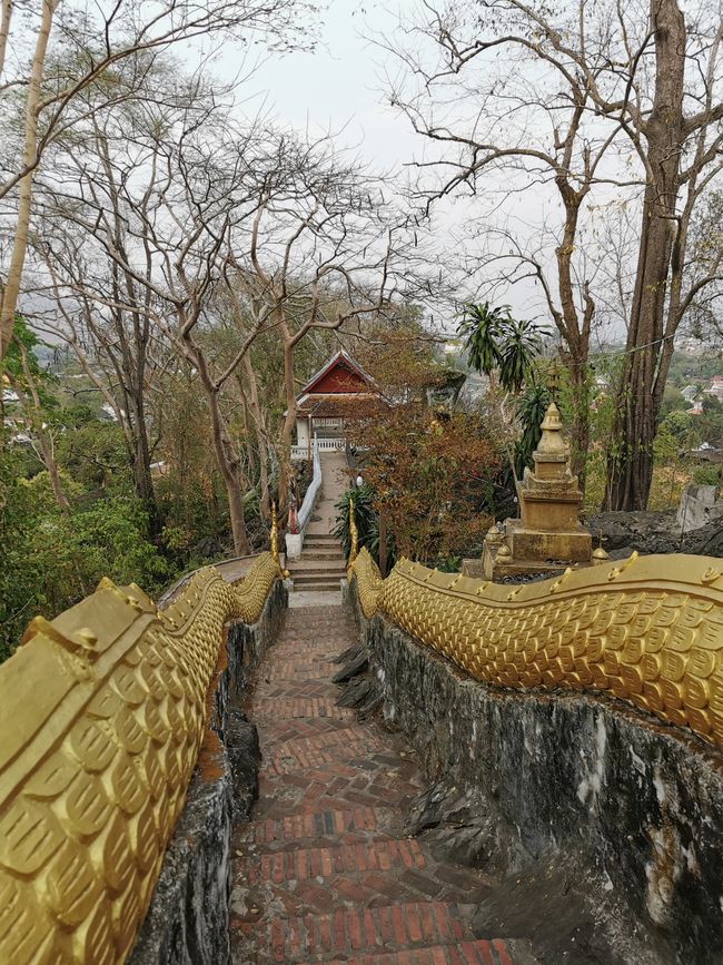 Un altro giorno di tour dei templi a Luang Prabang