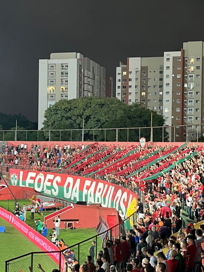 Portuguesa AD - Palmeiras